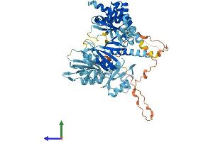 AlphaFold protein structure predicition of Human Recombinant IGF2BP3 Protein, UniprotID O00425