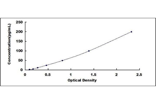 Osteoprotegerin ELISA Kit