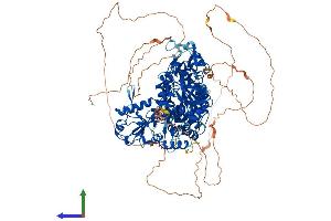 Protein Structure (PS) image for SEC24 Family, Member A (SEC24A) (AA 1-1093) protein (His tag) (ABIN7555371)