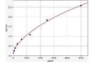 Angiomotin ELISA Kit