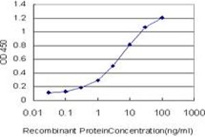 Detection limit for recombinant GST tagged SWAP70 is approximately 0. (SWAP70 antibody  (AA 378-451))