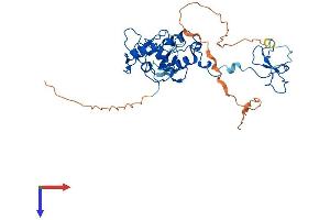 AlphaFold protein structure predicition of Human Recombinant PHF7 Protein, UniprotID Q9BWX1 (PHF7 Protein (AA 1-381) (His tag))