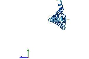 AlphaFold protein structure predicition of Mouse Recombinant Alox5ap Protein, UniprotID P30355 (ALOX5AP Protein (AA 1-161) (His tag))