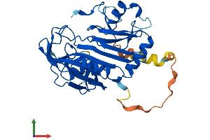 AlphaFold protein structure predicition of Mouse Recombinant Rpusd1 Protein, UniprotID Q8VCZ8 (RPUSD1 Protein (AA 1-306) (His tag))
