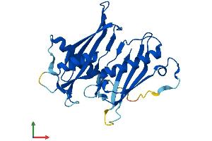 AlphaFold protein structure predicition of Human Recombinant ACOT7L Protein, UniprotID Q6ZUV0 (ACOT7L (AA 1-252) protein (His tag))