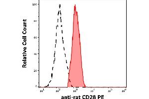 Separation of rat CD28 positive splenocytes (red-filled) from CD28 negative splenocytes (black-dashed) in flow cytometry analysis (surface staining) of murine splenocyte suspension stained using anti-rat CD28 (JJ319) PE antibody (concentration in sample 0,56 μg/mL). (CD28 antibody  (PE))