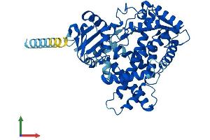AlphaFold protein structure predicition of Mouse Recombinant Cyp2c70 Protein, UniprotID Q91W64 (CYP2C70 Protein (AA 1-489) (His tag))