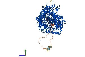 AlphaFold protein structure predicition of Human Recombinant MMEL1 Protein, UniprotID Q495T6 (MMEL1 Protein (AA 1-779) (His tag))