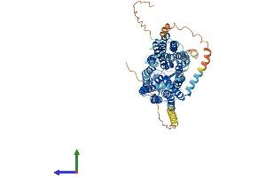 AlphaFold protein structure predicition of Human Recombinant SLCO1B3 Protein, UniprotID Q9NPD5 (SLCO1B3 Protein (AA 1-702) (His tag))