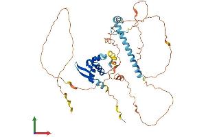 Protein Structure (PS) image for Forkhead Box P3 (FOXP3) (AA 1-431) protein (His tag) (ABIN7553935)