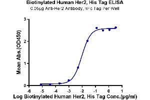 Immobilized Anti-Her2 Antibody, hFc Tag at 0.