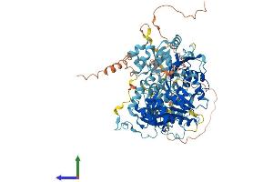 Protein Structure (PS) image for DNA Repair Protein Complementing XP-B Cells (ERCC3) (AA 1-783) protein (His tag) (ABIN7563333)