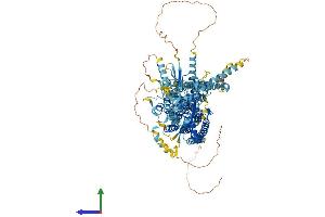AlphaFold protein structure predicition of Human Recombinant ANO1 Protein, UniprotID Q5XXA6