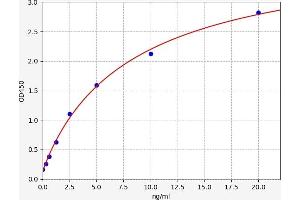 Typical standard curve (Ketohexokinase ELISA Kit)