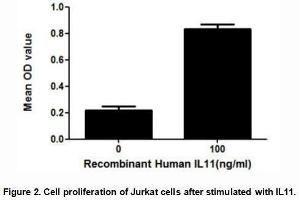 IL11 (Interleukin-11) is a multifunctional cytokine first isolated from bone marrow-derived stromal cells. (IL-11 Protein (AA 22-199) (His tag))