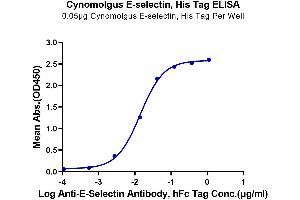 ELISA image for Selectin E (SELE) (AA 22-554) protein (His tag) (ABIN7274570)