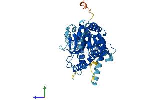 AlphaFold protein structure predicition of Mouse Recombinant Alg2 Protein, UniprotID Q9DBE8