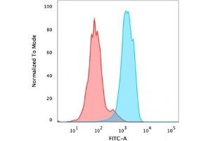 Flow Cytometry (FACS) image for anti-Forkhead Box A1 (FOXA1) (AA 372-472) antibody (ABIN6939651)