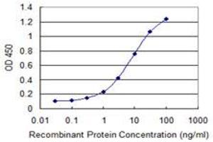 Detection limit for recombinant GST tagged CNR2 is 0. (LGR4 antibody  (AA 852-950))