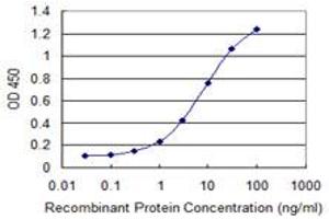 Detection limit for recombinant GST tagged CNR2 is 0. (LGR4 antibody  (AA 852-950))