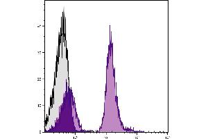 C57BL/6 mouse splenocytes were stained with Mouse Anti-Mouse CD19-APC/CY7. (CD19 antibody  (APC-Cy7))