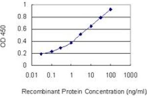 Detection limit for recombinant GST tagged DSC2 is 0. (Desmocollin 2 antibody  (AA 444-534))