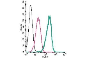 Cell surface detection of GABA(A) δ Receptor by indirect flow cytometry in live intact human THP-1 monocytic leukemia cells: (black line) Cells. (GABRD antibody  (Extracellular, N-Term))