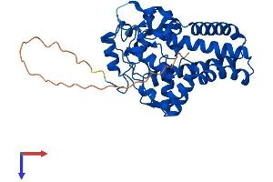 AlphaFold protein structure predicition of Mouse Recombinant Scd3 Protein, UniprotID Q99PL7 (Scd3 Protein (AA 1-359) (His tag))