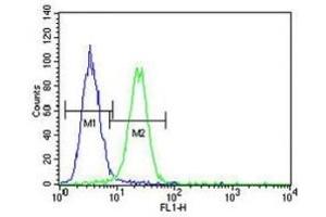 Flow Cytometry (FACS) image for anti-X-Ray Repair Complementing Defective Repair in Chinese Hamster Cells 1 (XRCC1) (AA 407-435) antibody (ABIN3029645)