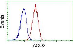 Image no. 2 for anti-Aconitase 2, Mitochondrial (ACO2) antibody (ABIN1496410) (ACO2 antibody)