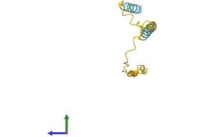AlphaFold protein structure predicition of Human Recombinant LINC00596 Protein, UniprotID Q86U02 (C14orf165 Protein (AA 1-117) (His tag))