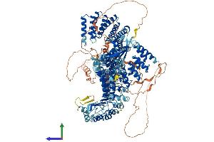 AlphaFold protein structure predicition of Mouse Recombinant Tonsl Protein, UniprotID Q6NZL6 (NFKBIL2 Protein (AA 1-1363) (His tag))