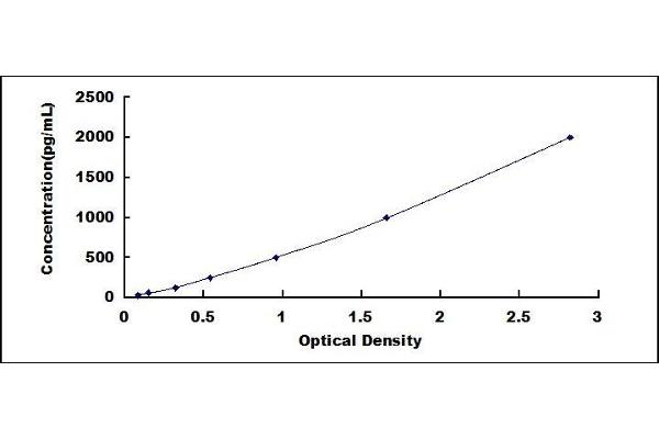 ISG15 ELISA Kit