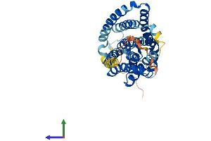 AlphaFold protein structure predicition of Human Recombinant SLC10A1 Protein, UniprotID Q14973