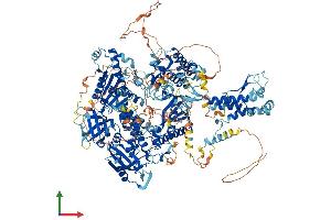 Protein Structure (PS) image for DNA Polymerase alpha (POLA1) (AA 1-1465) protein (His tag) (ABIN7563145)