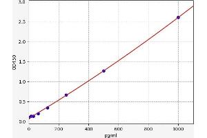 Chemokine (C-C Motif) Ligand 5 (CCL5) ELISA Kit