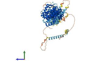 Protein Structure (PS) image for EFR3 Homolog A (EFR3A) (AA 1-821) protein (His tag) (ABIN7553754)