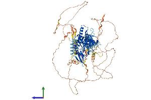 Protein Structure (PS) image for CTD (Carboxy-terminal Domain, RNA Polymerase II, Polypeptide A) Phosphatase, Subunit 1 (CTDP1) (AA 1-960) protein (His tag) (ABIN7564212)