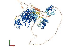 AlphaFold protein structure predicition of Human Recombinant TNK1 Protein, UniprotID Q13470 (TNK1 Protein (AA 1-666) (His tag))
