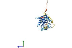 Protein Structure (PS) image for RAB, Member of RAS Oncogene Family-Like 2B (RABL2B) (AA 1-228) protein (His tag) (ABIN7551272)
