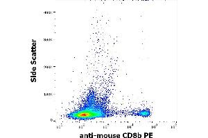 Flow cytometry surface staining pattern of murine splenocyte suspension stained using anti-mouse CD8b (H35-17. (CD8B antibody  (PE))