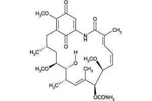 Image no. 1 for Geldanamycin (ABIN1027731)