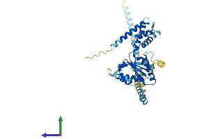 AlphaFold protein structure predicition of Human Recombinant ATAD3C Protein, UniprotID Q5T2N8 (ATAD3C Protein (AA 1-411) (His tag))