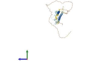 AlphaFold protein structure predicition of Mouse Recombinant Dsn1 Protein, UniprotID Q9CYC5