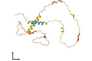 AlphaFold protein structure predicition of Human Recombinant CDRT15 Protein, UniprotID Q96T59 (CDRT15 Protein (AA 1-188) (His tag))