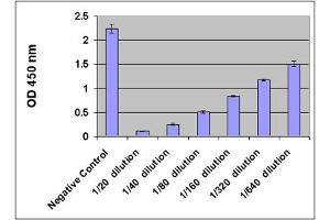 ELISA image for Oxidative DNA Damage ELISA Kit (ABIN2344960)