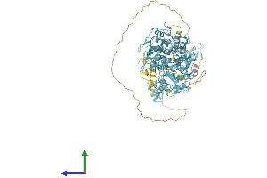 AlphaFold protein structure predicition of Human Recombinant ZNF721 Protein, UniprotID Q8TF20 (ZNF721 Protein (AA 1-911) (His tag))