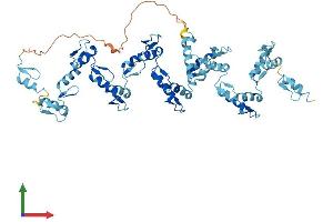 Protein Structure (PS) image for Zinc Finger Protein 791 (ZNF791) (AA 1-576) protein (His tag) (ABIN7545402)