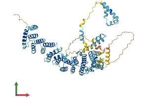 Protein Structure (PS) image for SDA1 Domain Containing 1 (SDAD1) (AA 1-687) protein (His tag) (ABIN7558349)