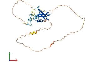 AlphaFold protein structure predicition of Human Recombinant FRMPD2B Protein, UniprotID Q6IN97 (FRMPD2B Protein (AA 1-320) (His tag))